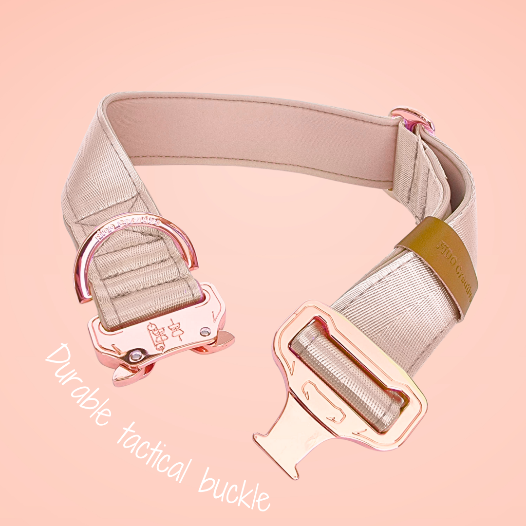 Beige tactical dog collar 