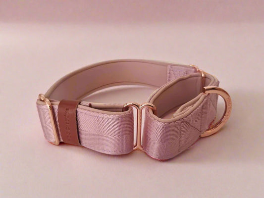 Dusty Rose Martingale Collar - Neoprene Padded