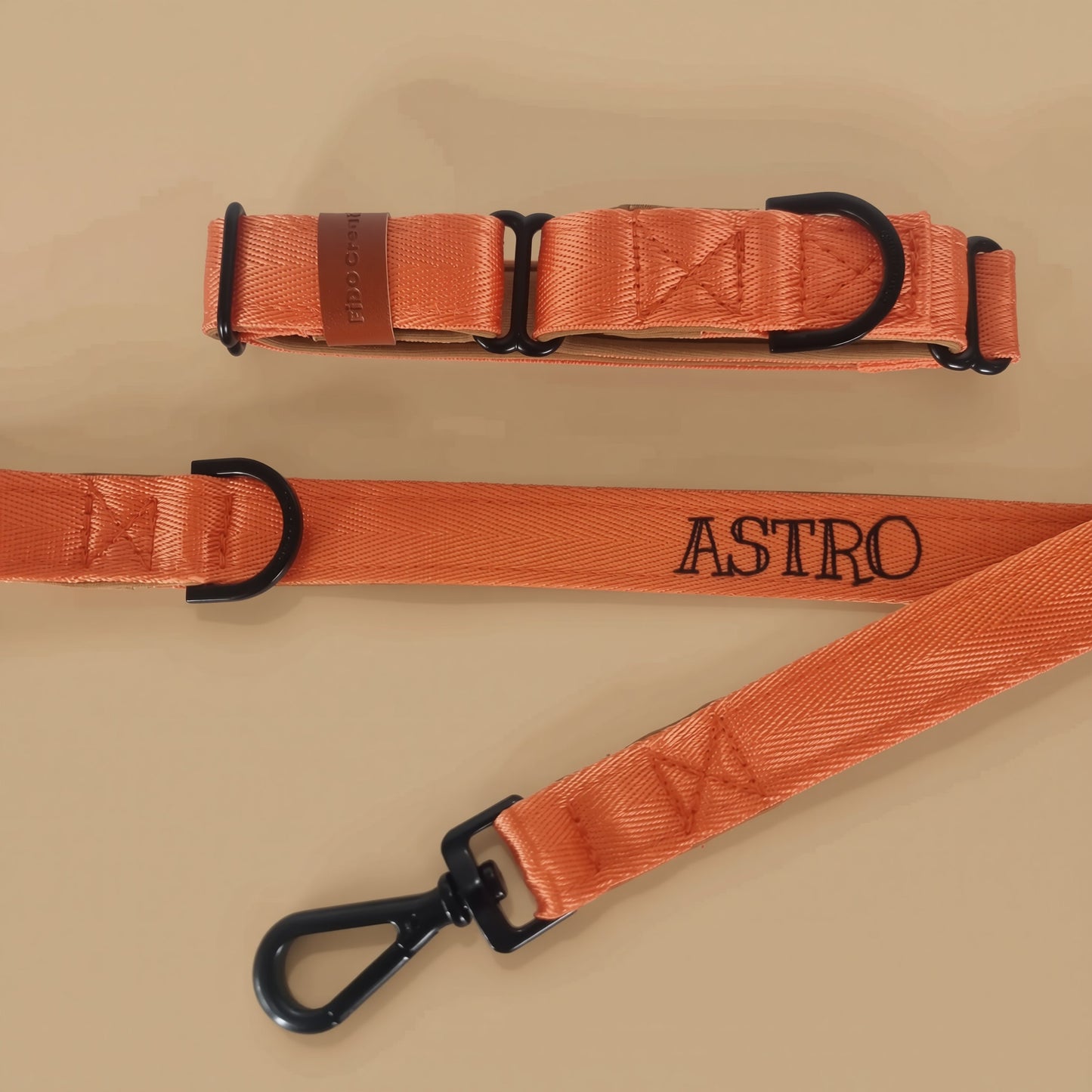 an orange dog collar and leash personalized with the name "ASTRO" printed