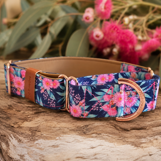 pink and blue Floral-patterned martingale dog collar with rose gold hardware