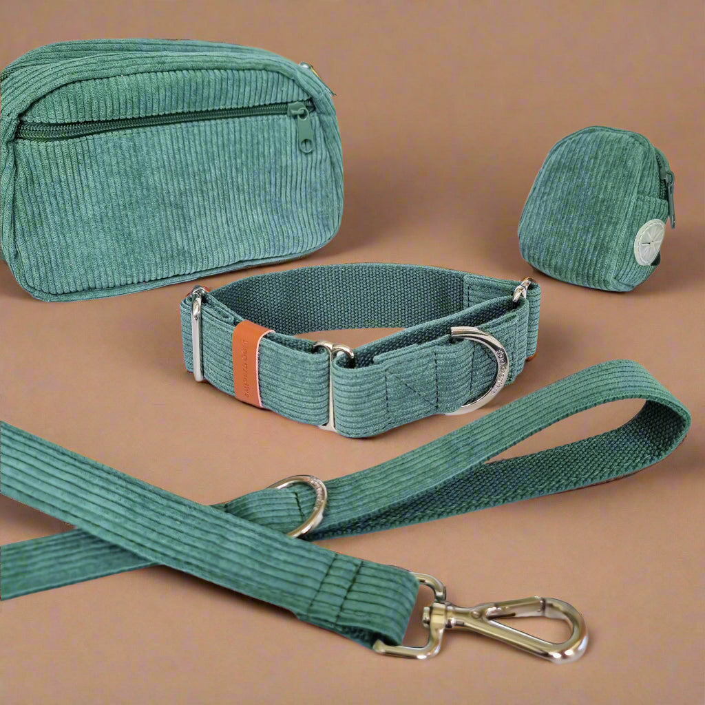 Green corduroy martingale dog collar set 