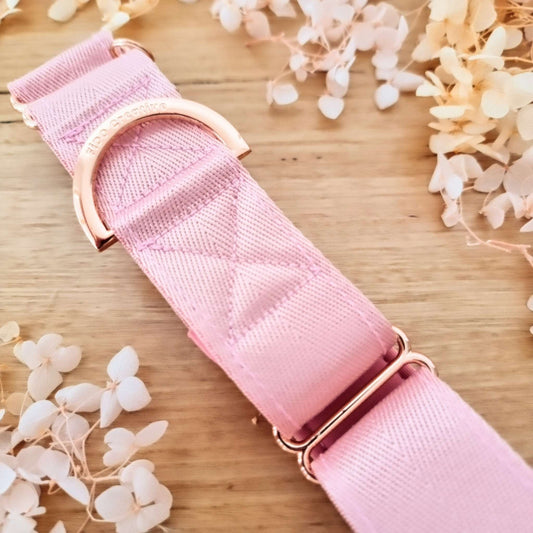 Light pink martingale collar with padding