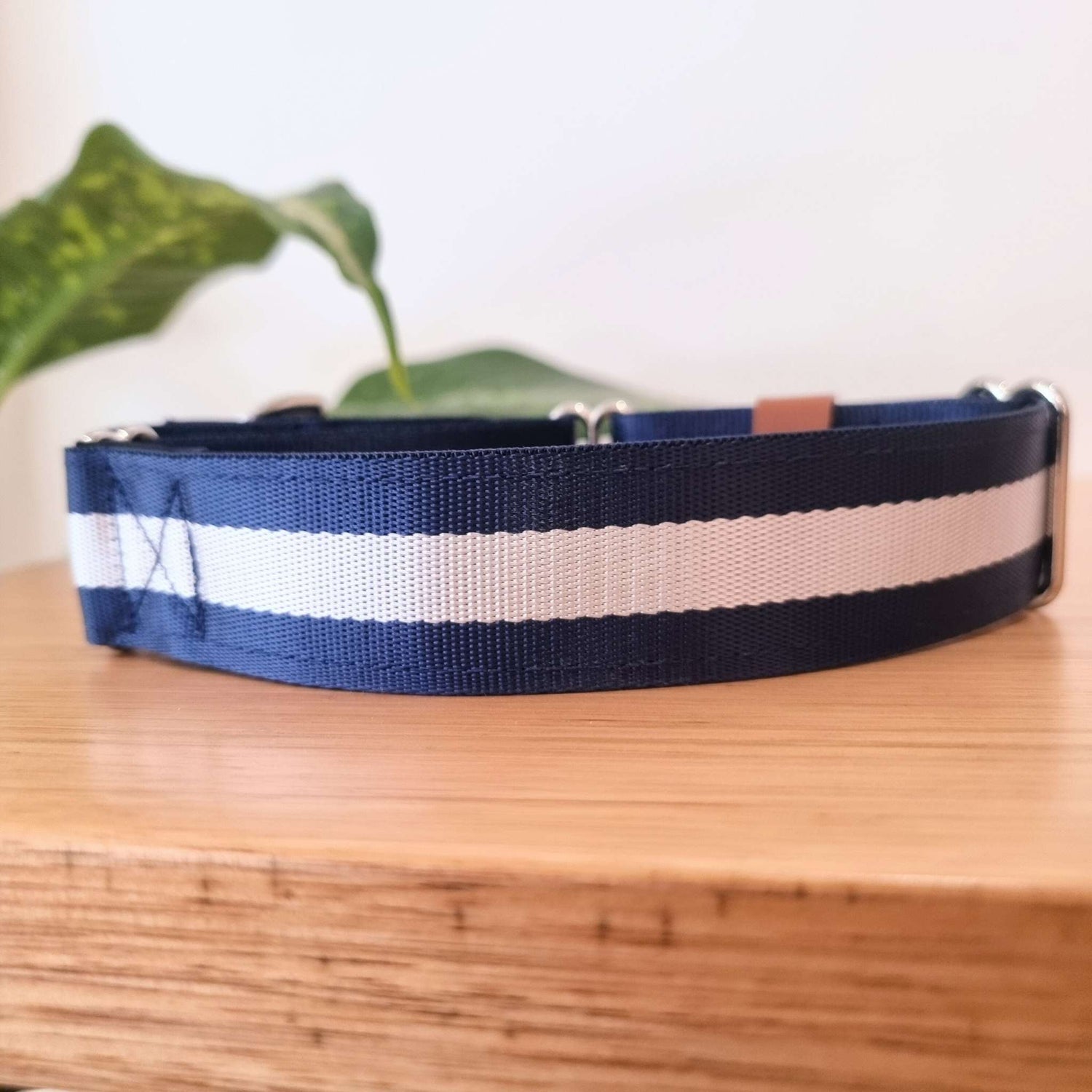 Personalised Martingale Dog Collar 