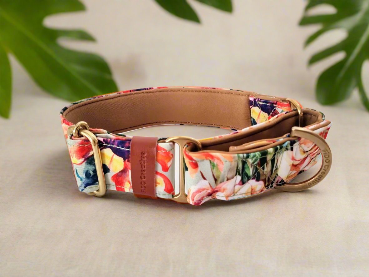 neoprene padded flower martingale collar