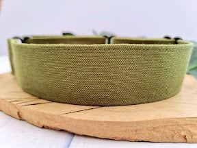 Green dog collar 