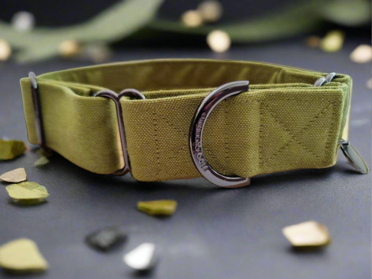 Olive green martingale dog collar