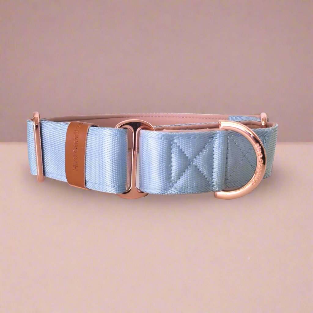 Light blue martingale collar - Padded