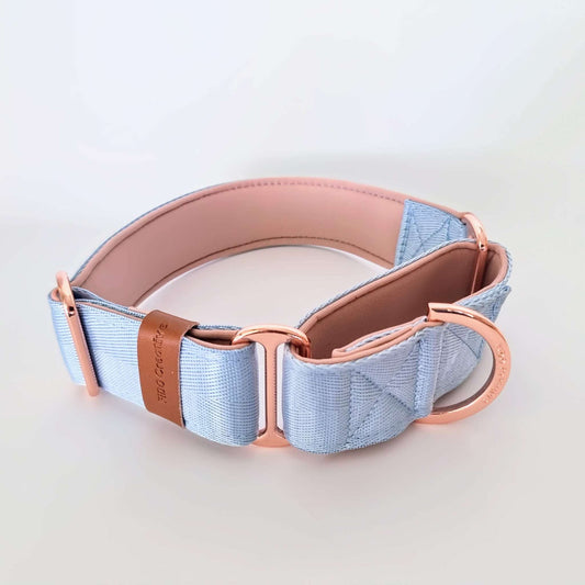 Light blue martingale collar - Padded