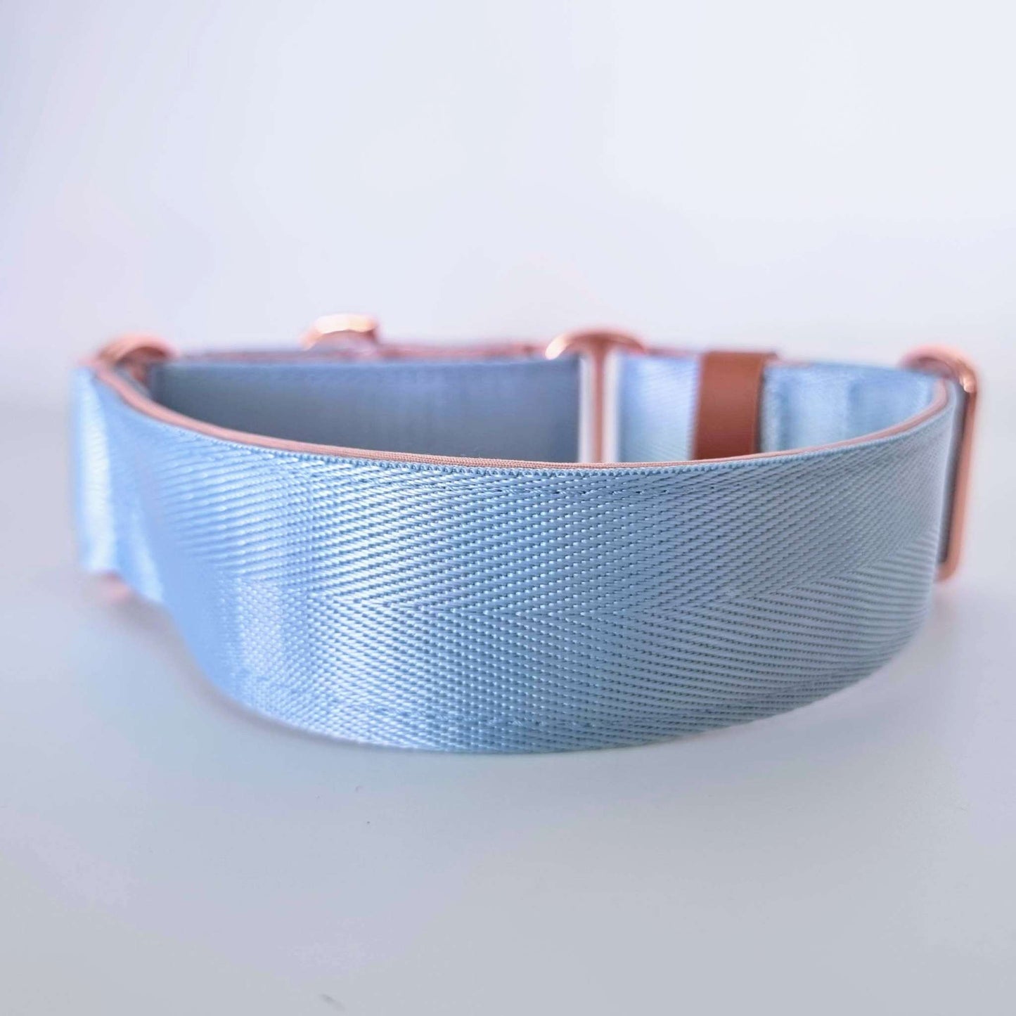 Light blue martingale collar - Padded