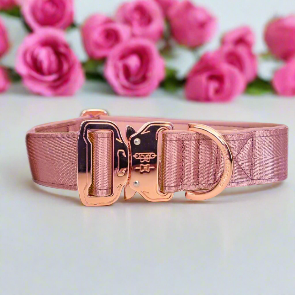 Dusty Pink Dog Collar with Neoprene Padding & Tactical Buckle – Optional personalised Name