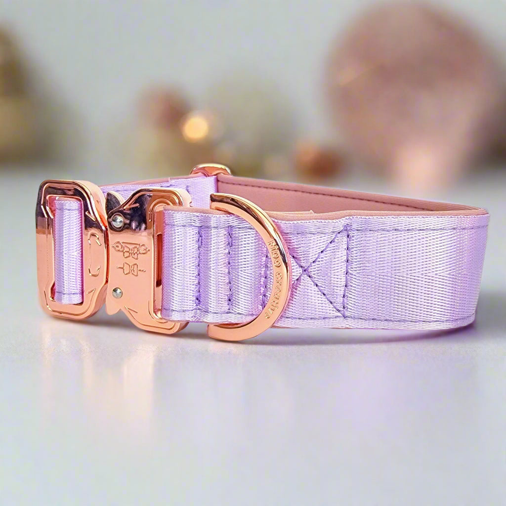 Purple and rose gold dog collar 