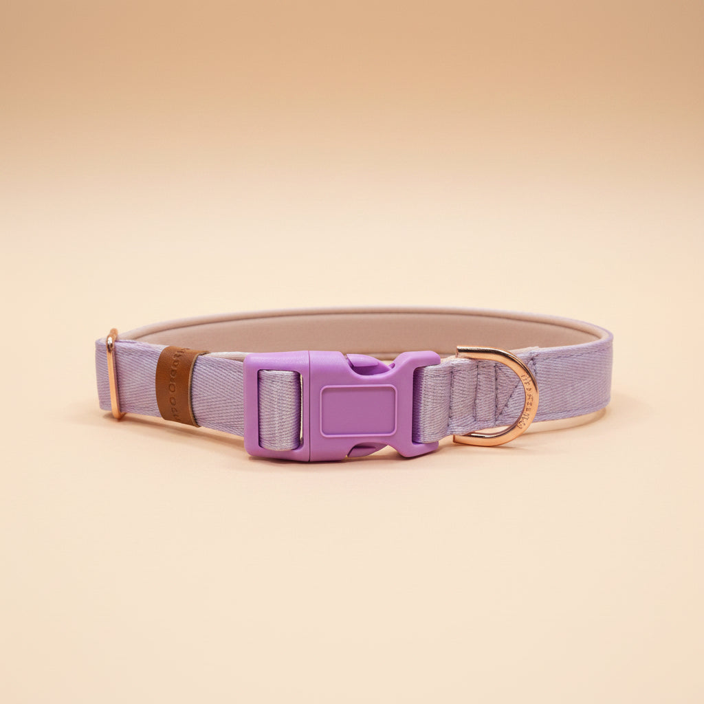 lilac Dog collar with a purple buckle on a wooden surface