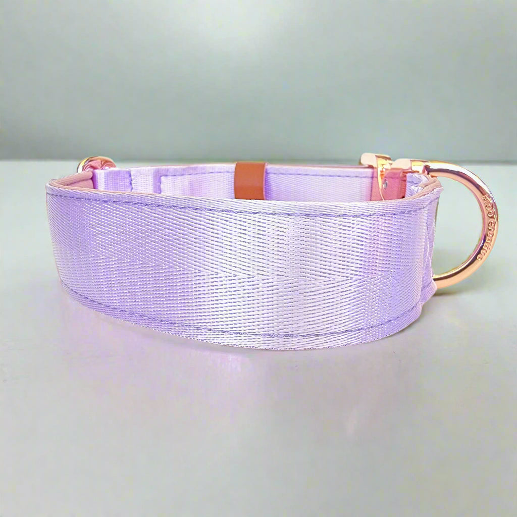 Soft purple padded dog collar 