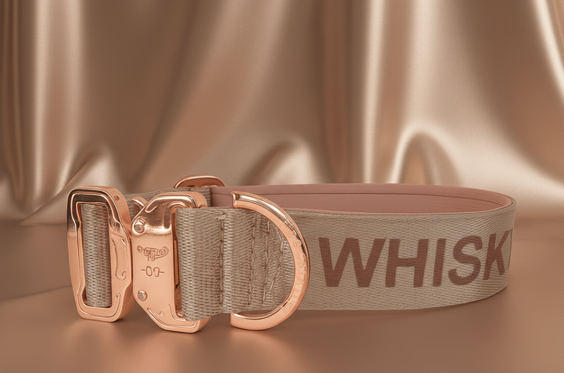 beige name dog collar