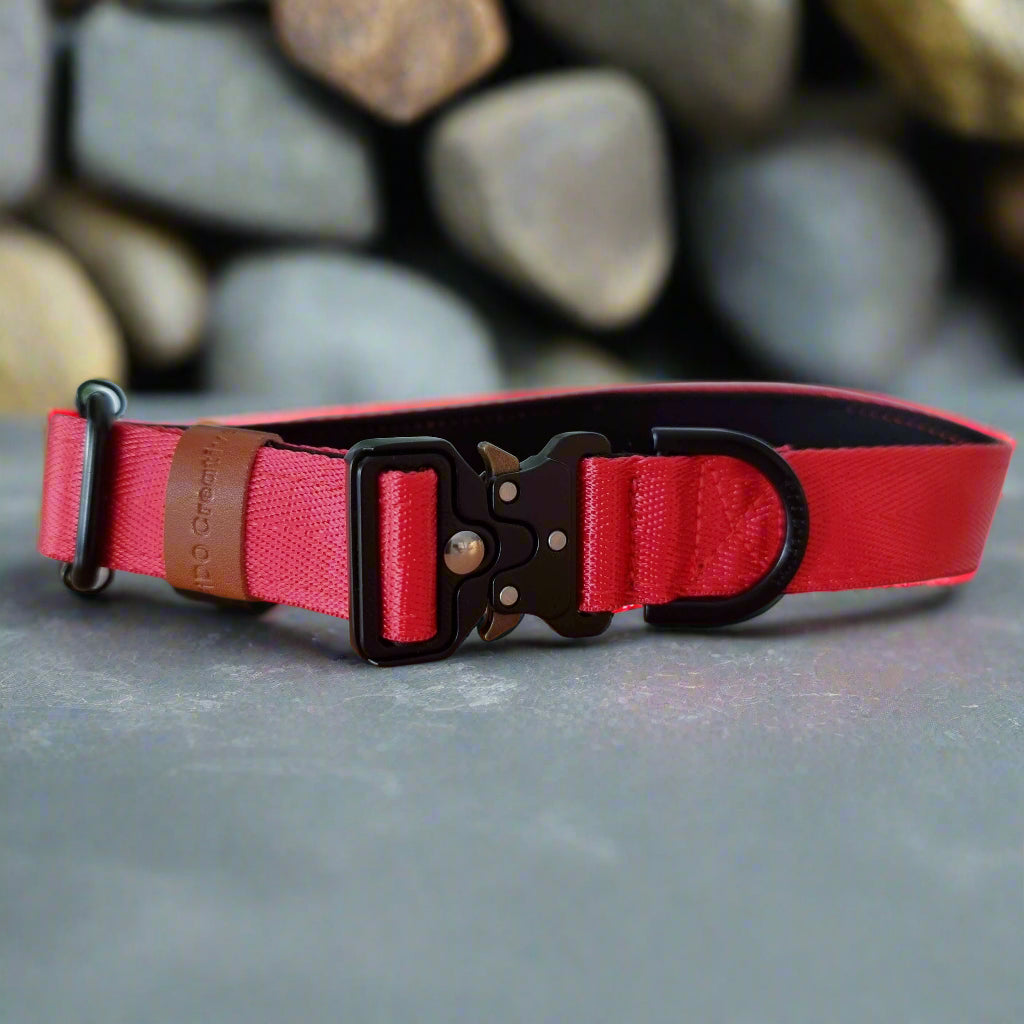 Red dog collar