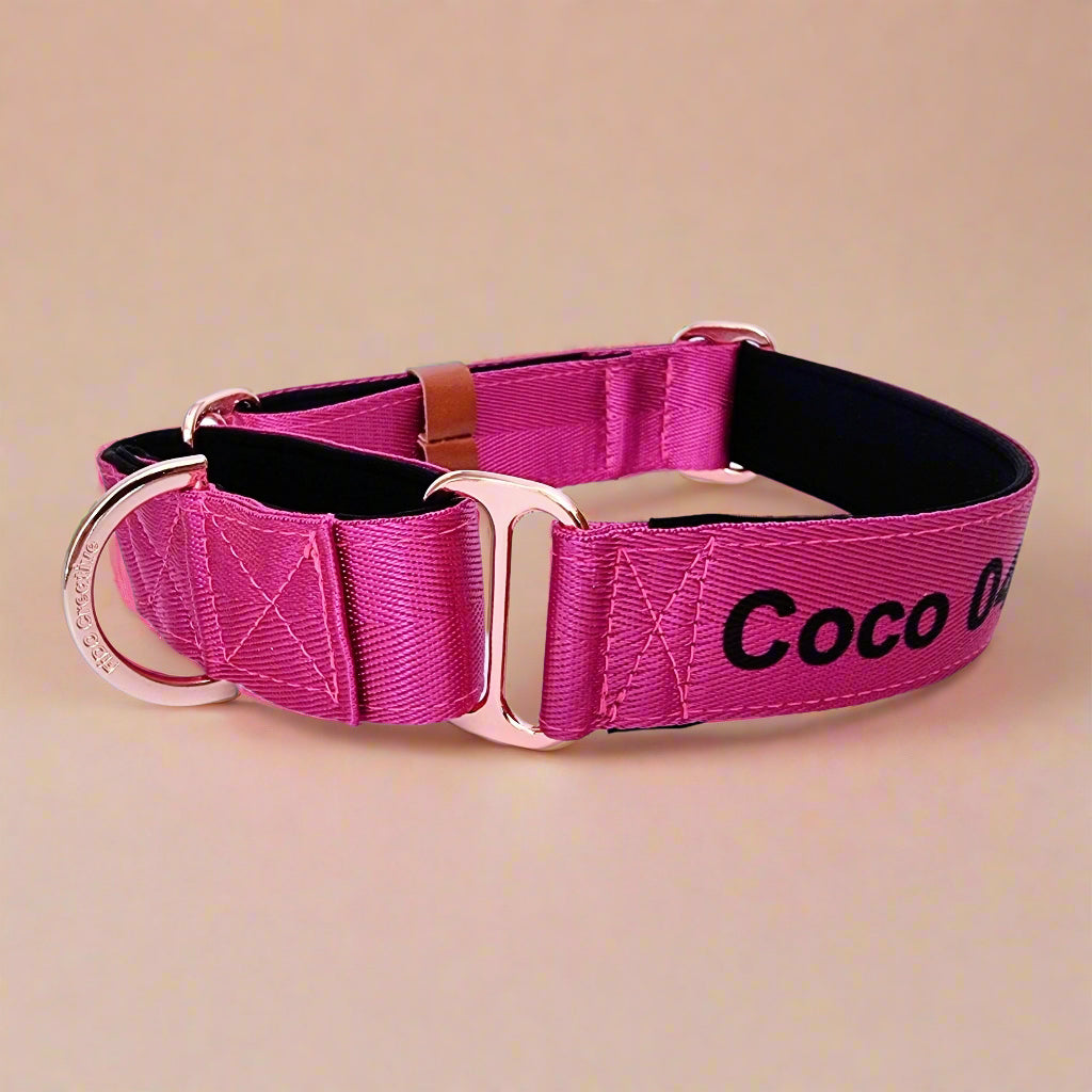 Hot pink martingale collar with personalised name