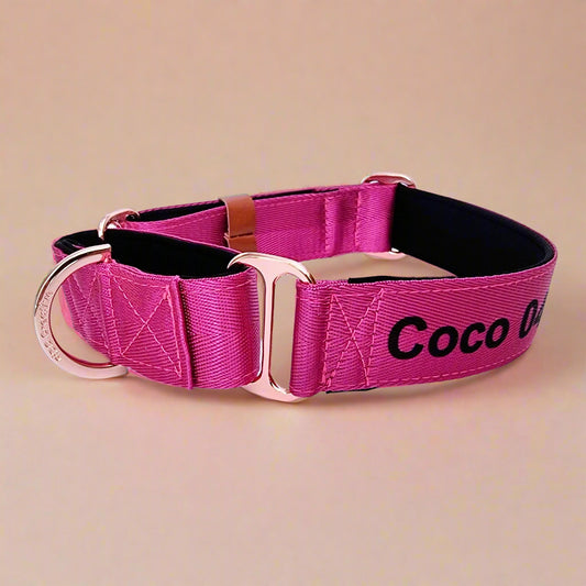 Hot pink martingale collar with personalised name