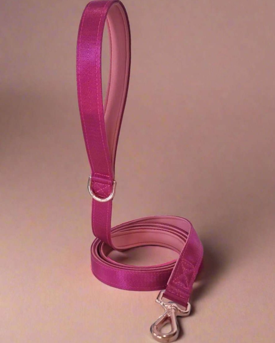 Pink Martingale Collar - Neoprene Padded