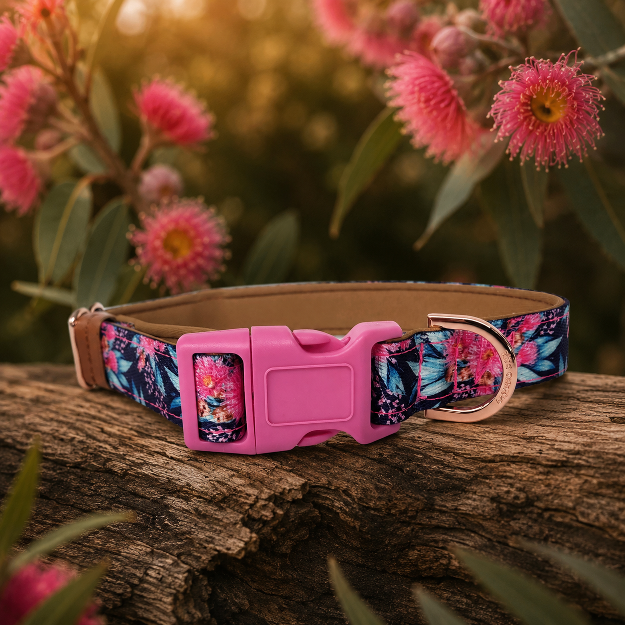 Pink Blossom Dog Collar – Australian Native Floral Buckle Collar