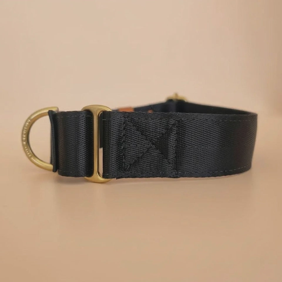 Black martingale collar