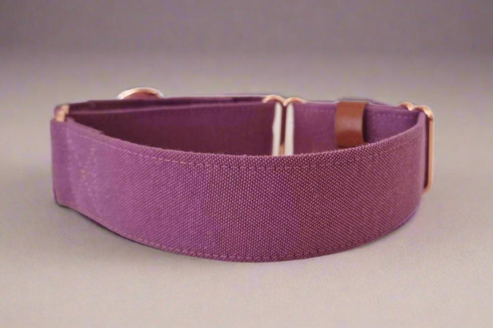 Martingale collar - Passiona Purple - Water resistant