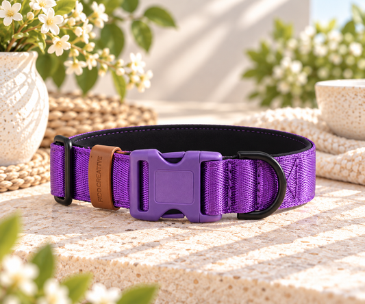 Royal Purple Personalised Dog Collar – Padded Buckle Collar with Optional Name Printing