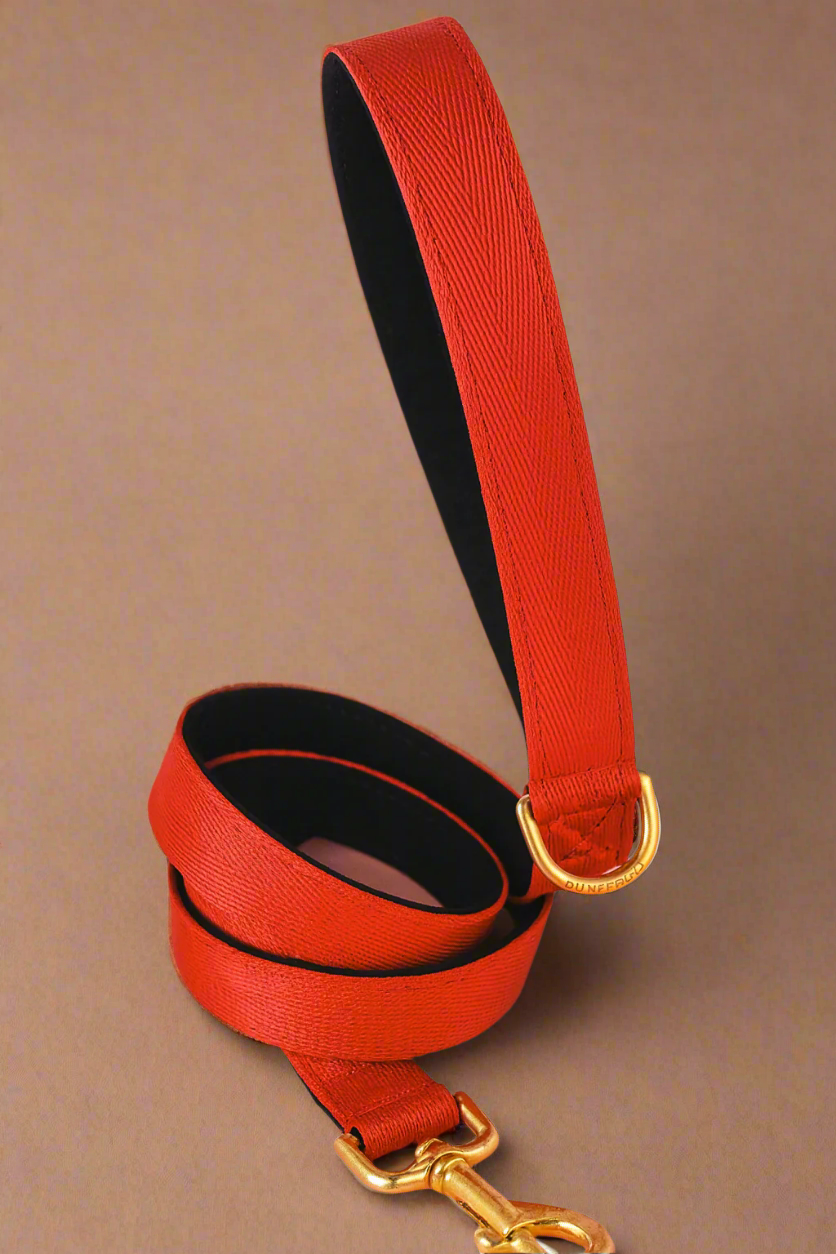 Red dog leaf with padded handle