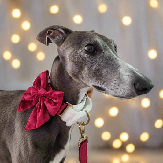 Crushed Red Velvet - Dog Bowtie