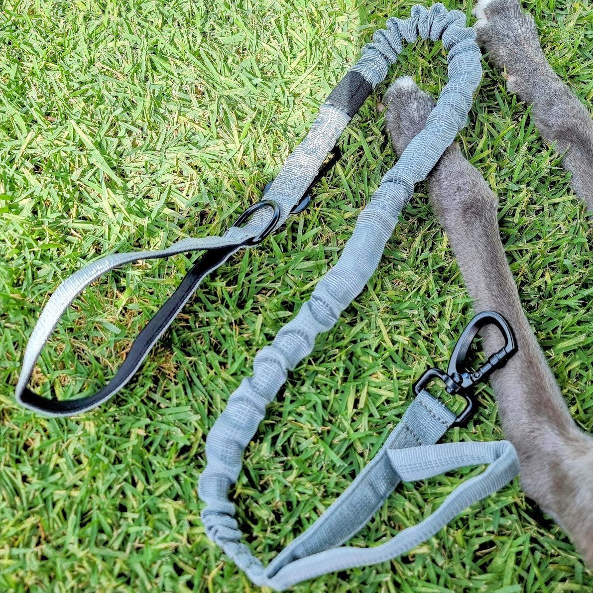 stretchy dog leash