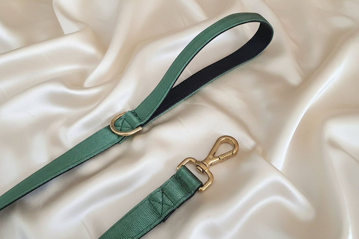 Green Dog Leash - Neoprene Padded