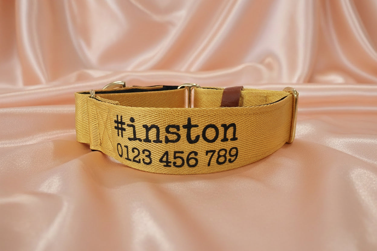 Yellow Martingale Dog Collar – Padded, personalised with Dog’s Name Optional