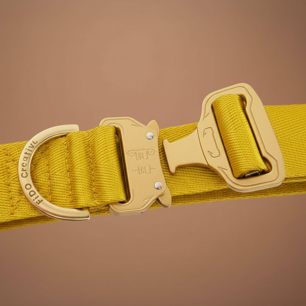 Yellow padded dog collar with buckle - Optional personalisation