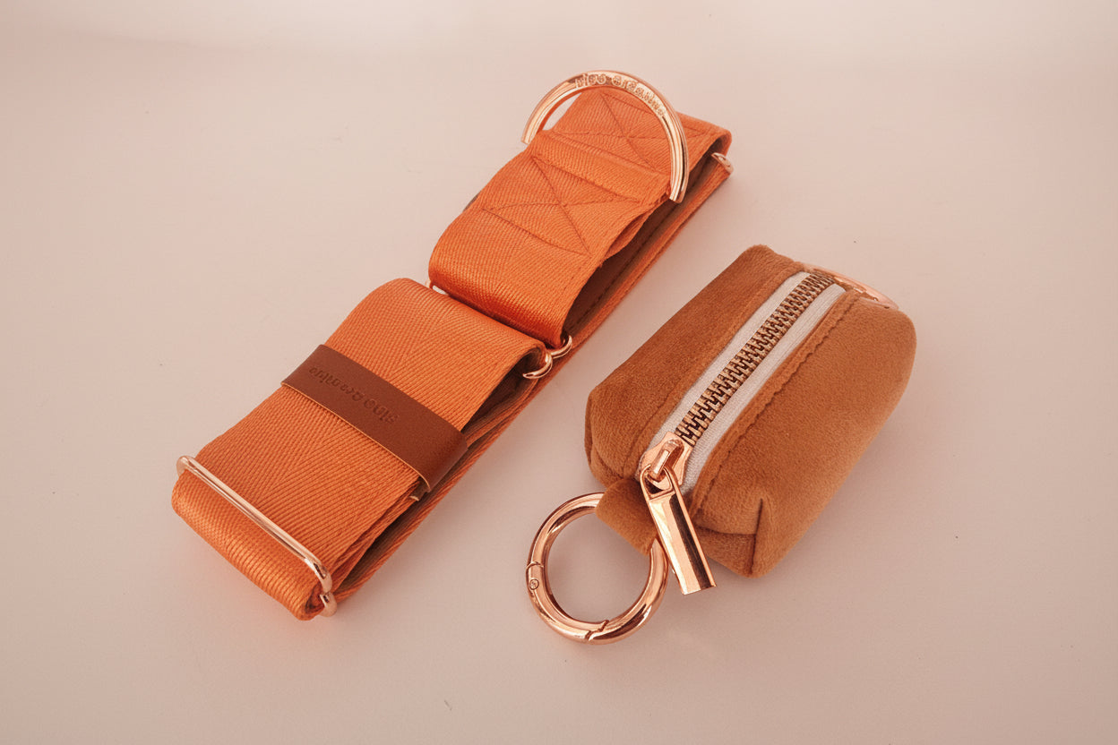 Orange dog collar with rose gold hardware and velvet poop bag holder