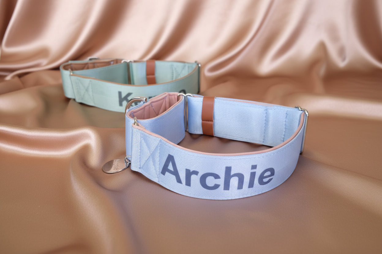 Dog collars with name on it