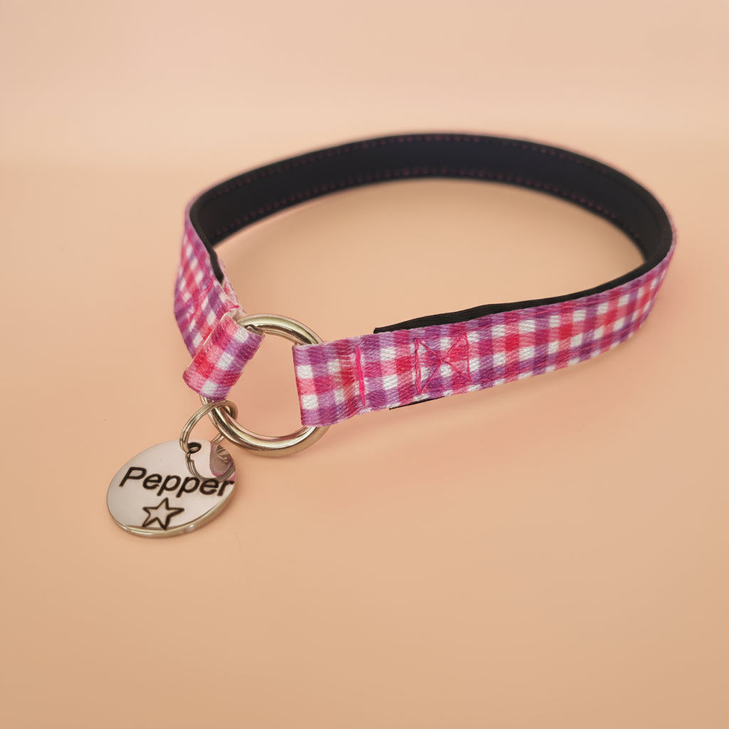 Clip Up House Collar, Padded for Comfort - Personalised Identification Dog Collar