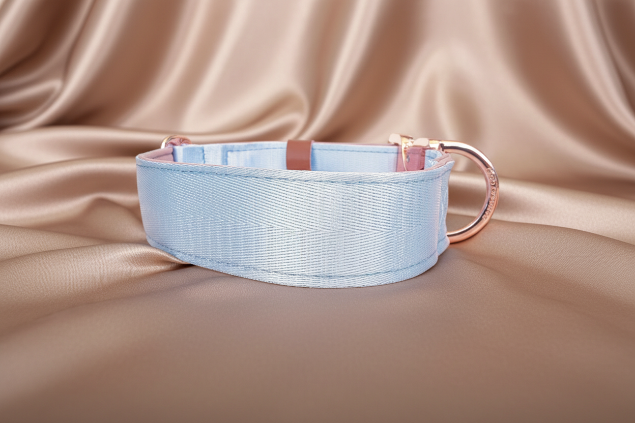 Light blue wedding dog collar 