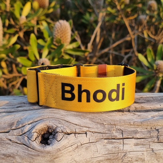 Yellow Martingale Dog Collar ā Padded, personalised with Dogās Name Optional