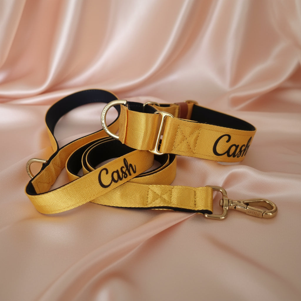 Yellow Martingale Dog Collar – Padded, personalised with Dog’s Name Optional