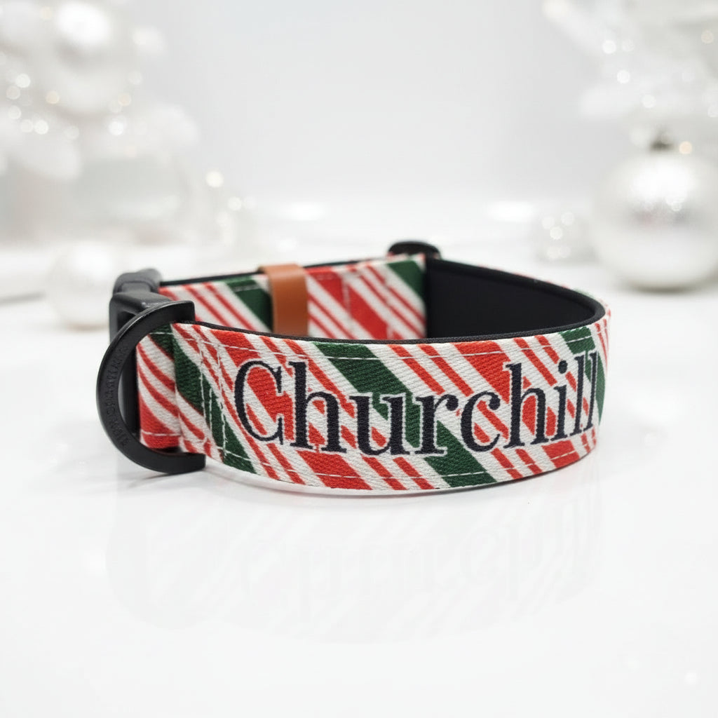 Candy Cane Christmas Dog Collar – Choose your buckle style