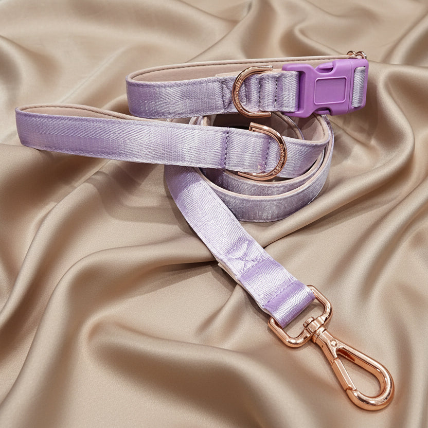 Light Purple Dog Collar with Neoprene Padding & Tactical Buckle – Optional personalised Name