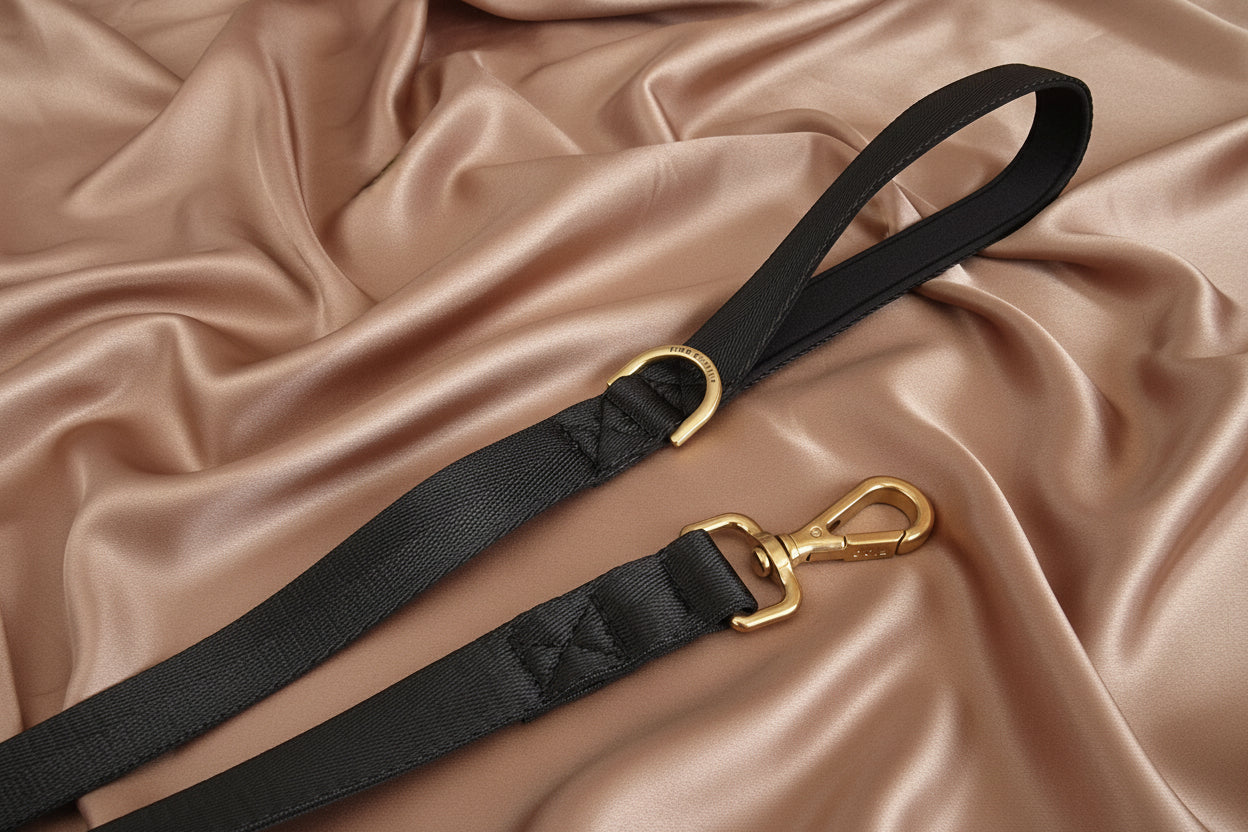 Black dog leash - neoprene padded