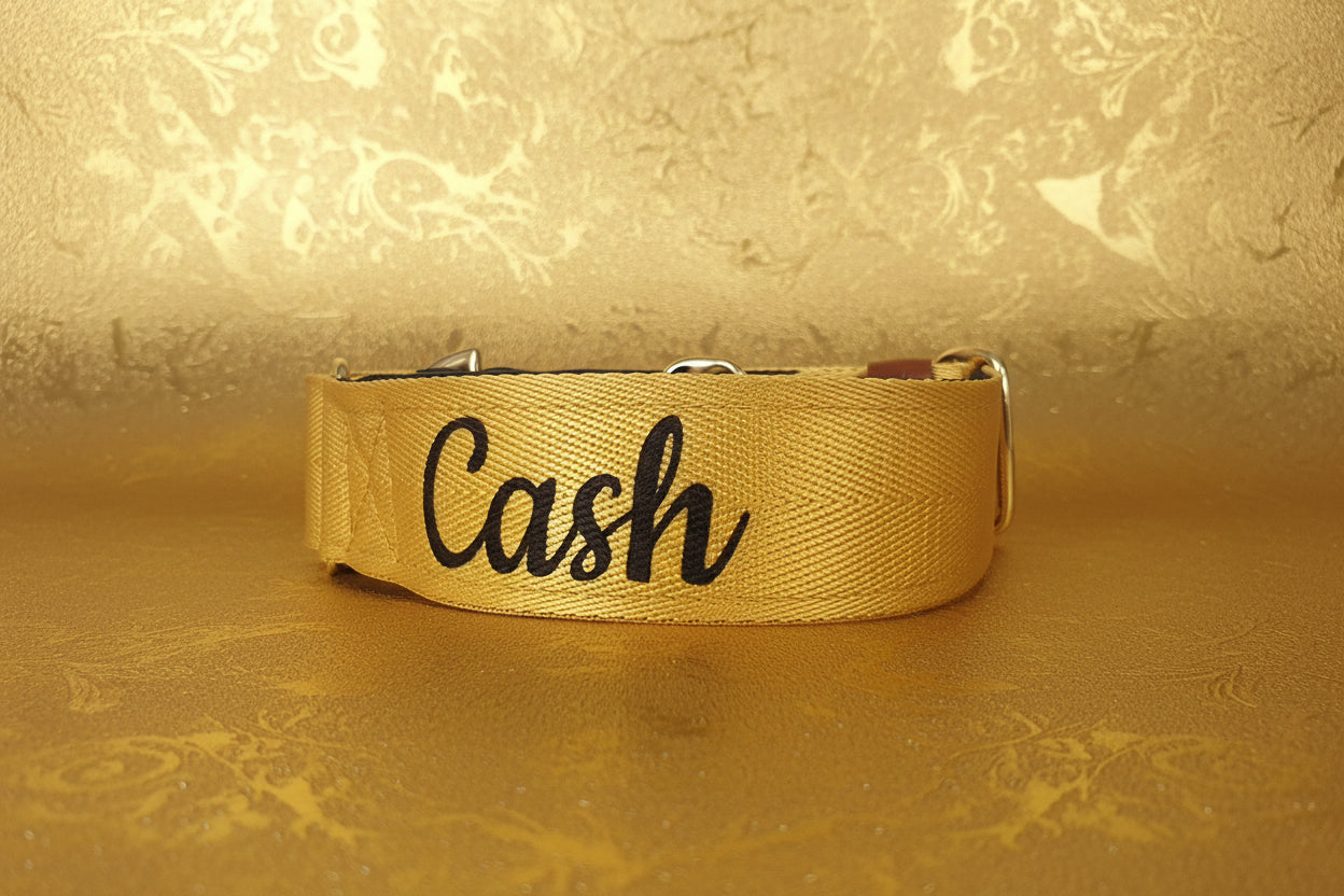 Yellow Martingale Dog Collar – Padded, personalised with Dog’s Name Optional
