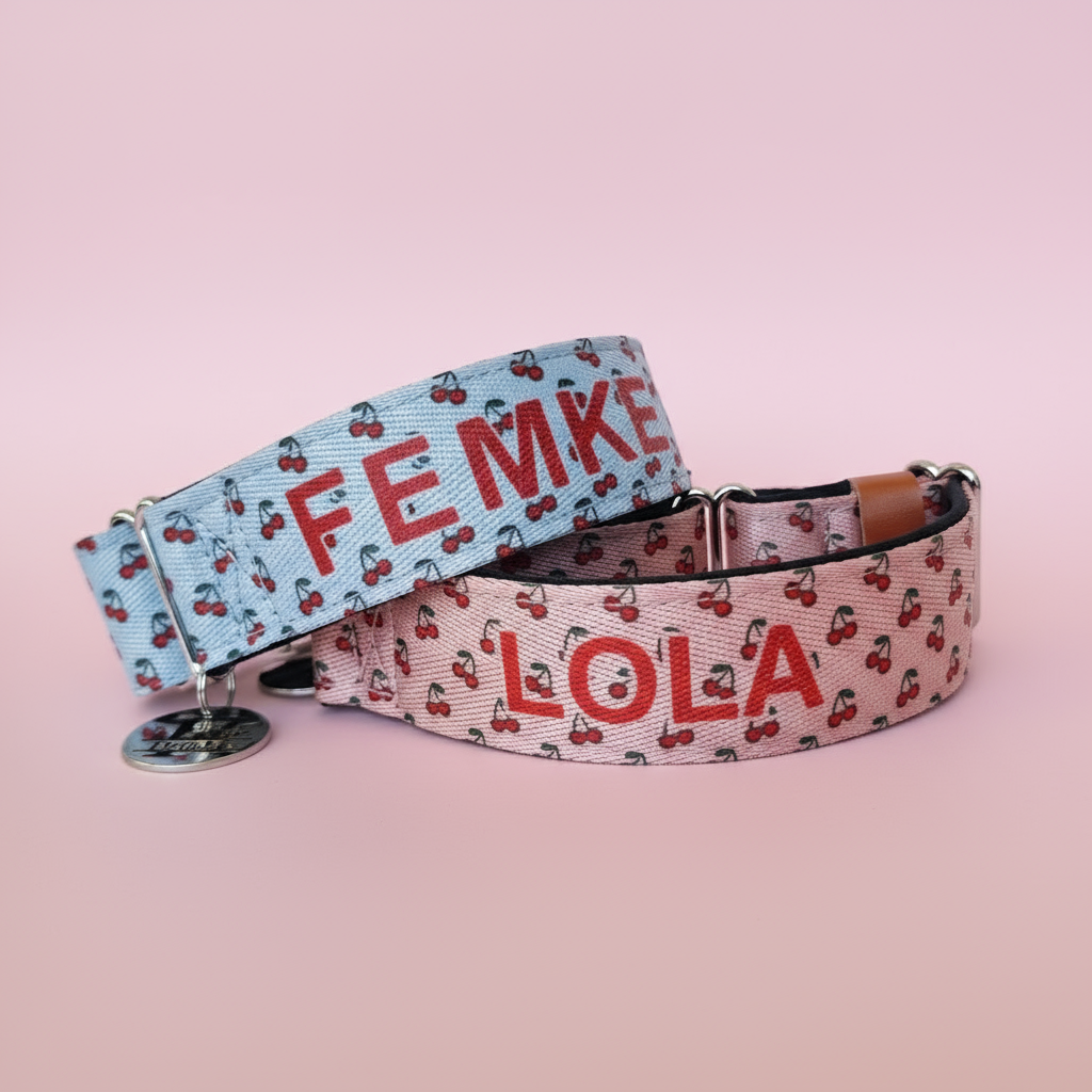 Cherry Martingale collar with padding - Custom colour and optional personalisation