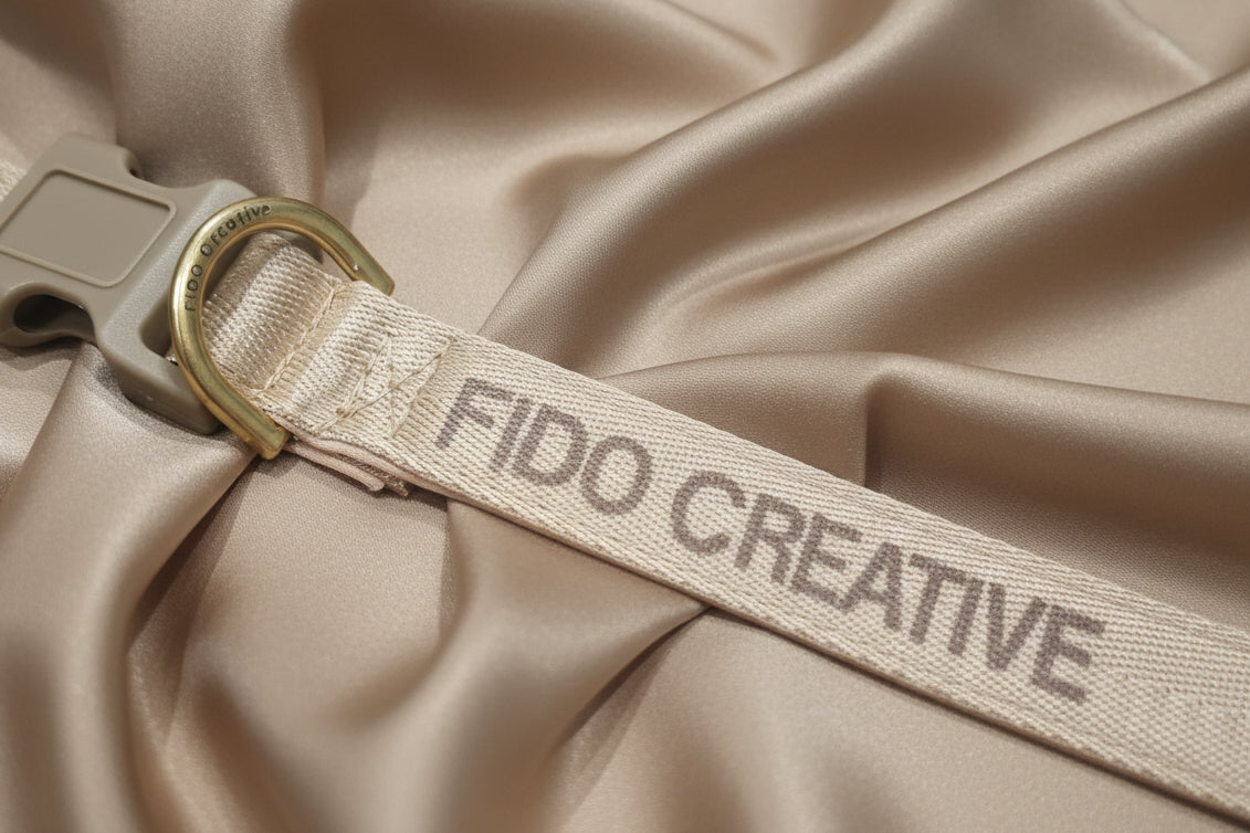 Light Beige Dog Collar with Padding & Buckle – Optional personalised Name