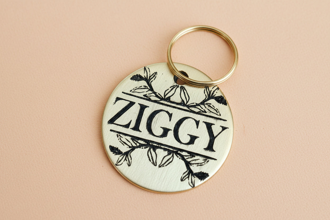 Round dog name tag with 'Ziggy' engraved