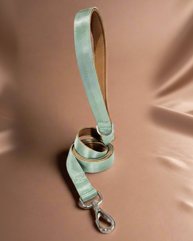 Sage green dog leash 