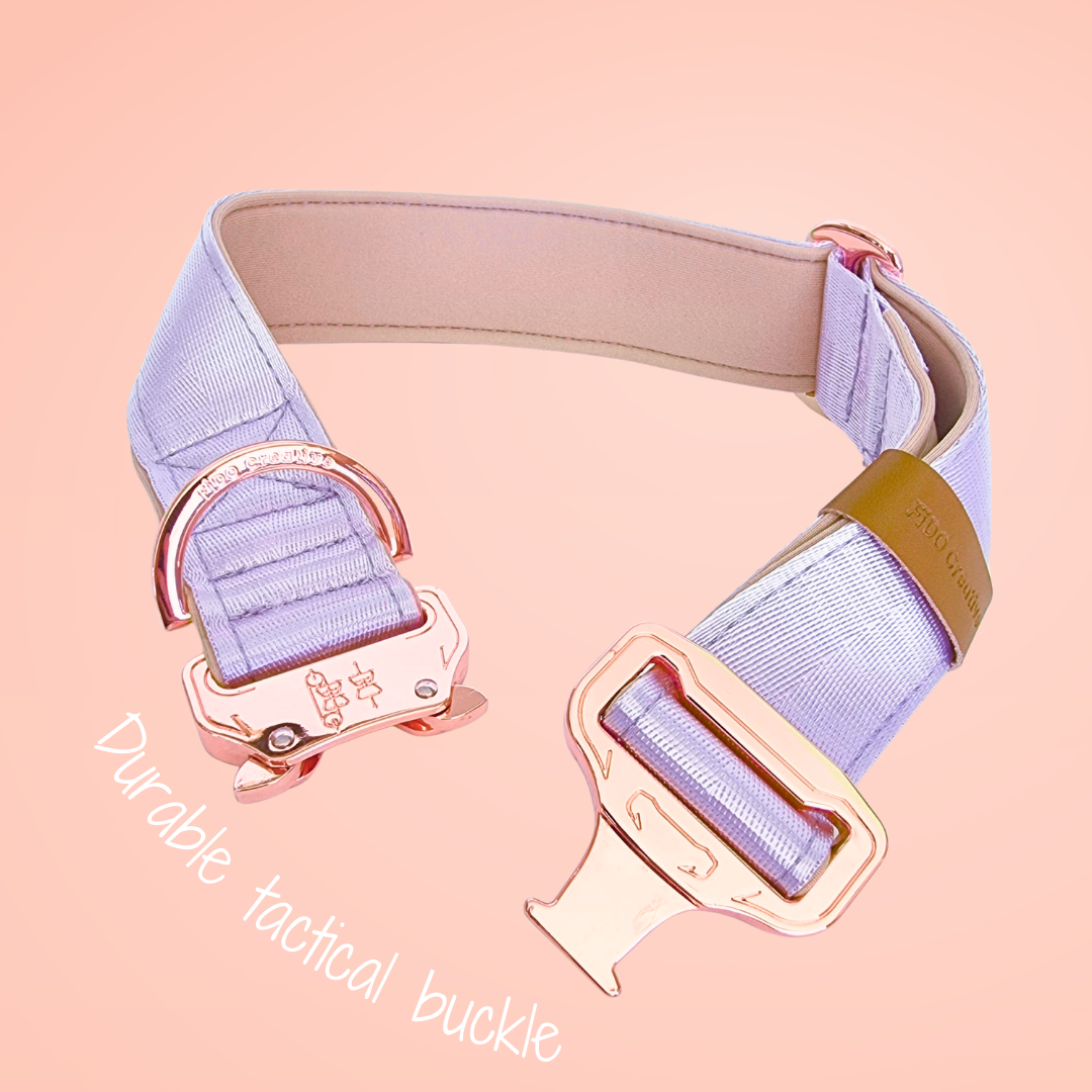 Padded dog collar 