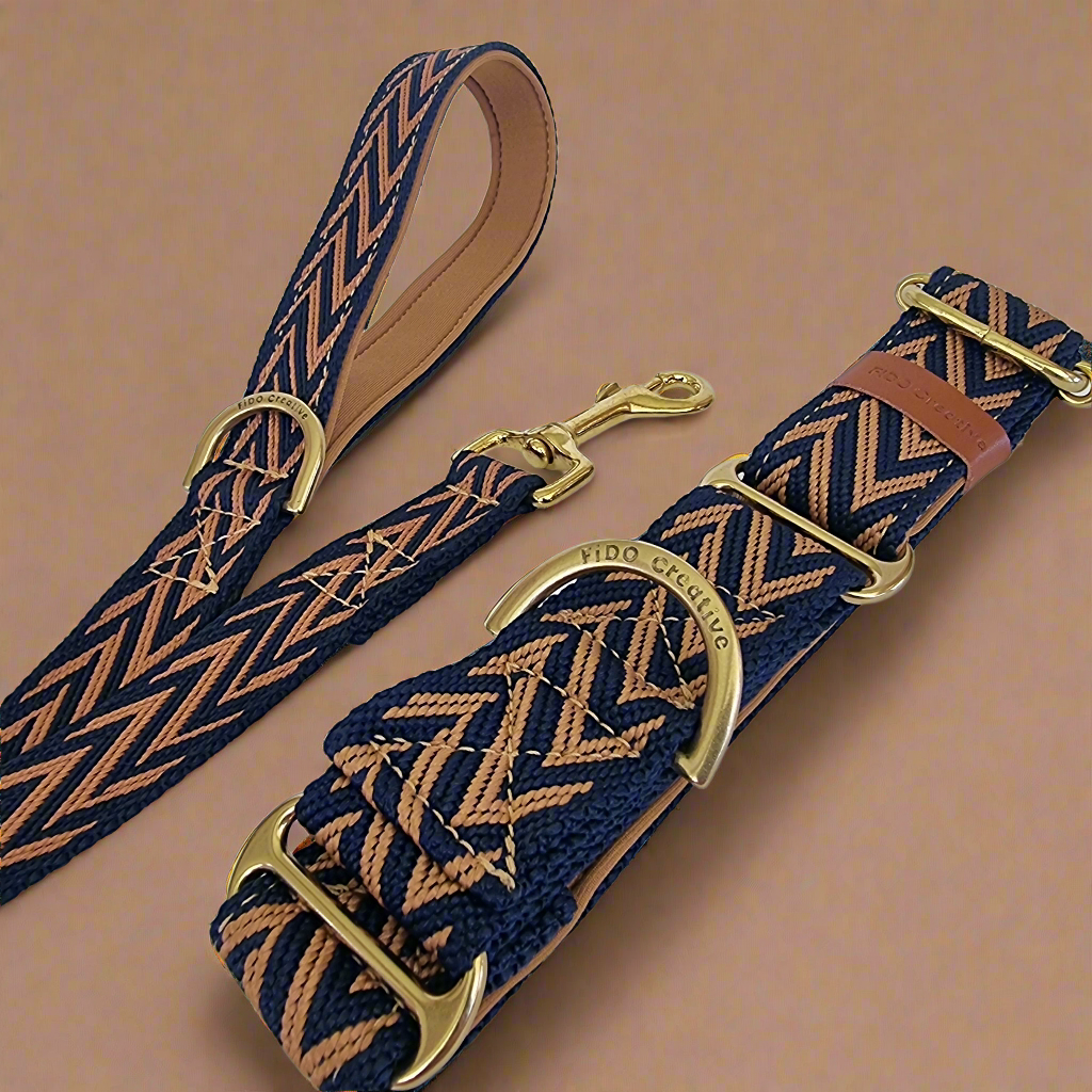 tan and navy martingale dog collar and leash