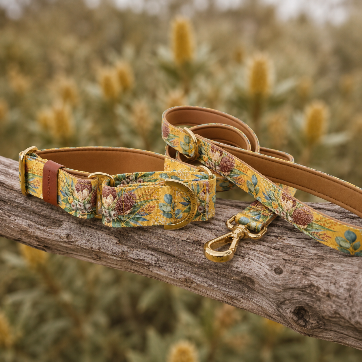 Mustard Banksia Martingale Collar – Australian Native Floral Dog Collar